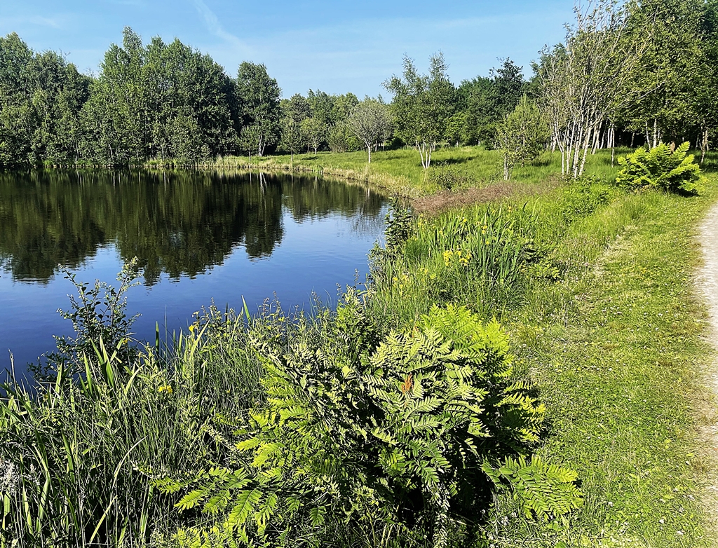 Badesee Ottermeer Südufer 2