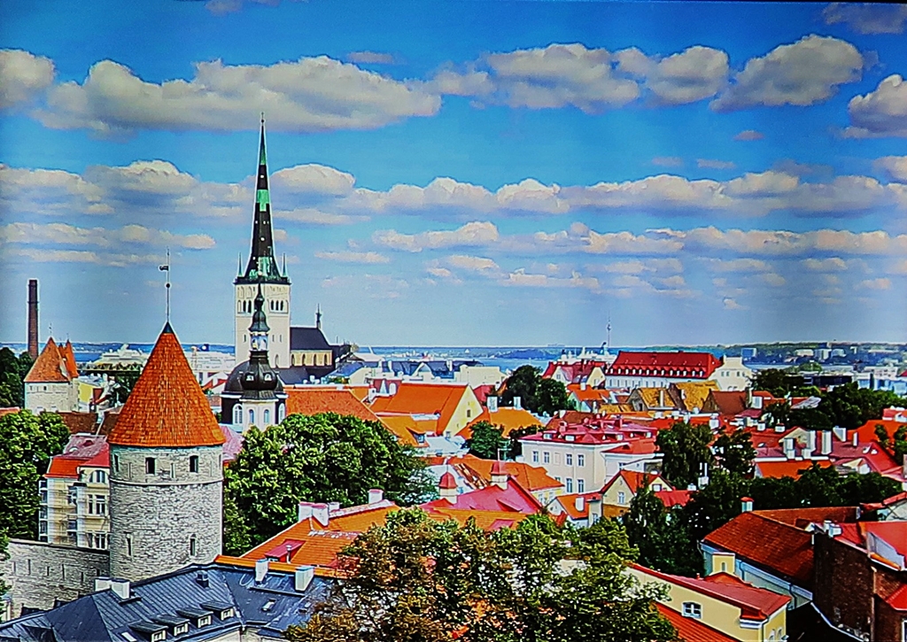 Blick über die historische Altstadt von Tallin